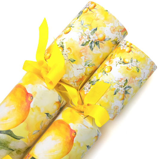 Lemon Blossom | Cracker Making Craft Kit | Make & Fill Your Own