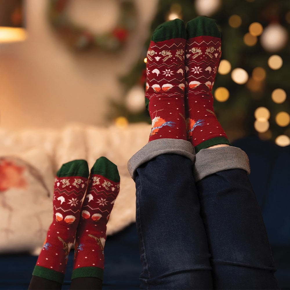 Seasons Tweetings | Mens Supersoft Bamboo Socks | One Size | Wrendale Designs