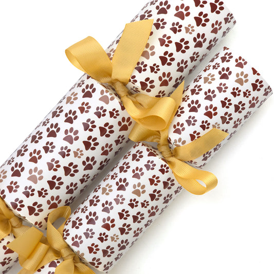 Bear Pawprints | Cracker Making Craft Kit | Make and Fill Your Own