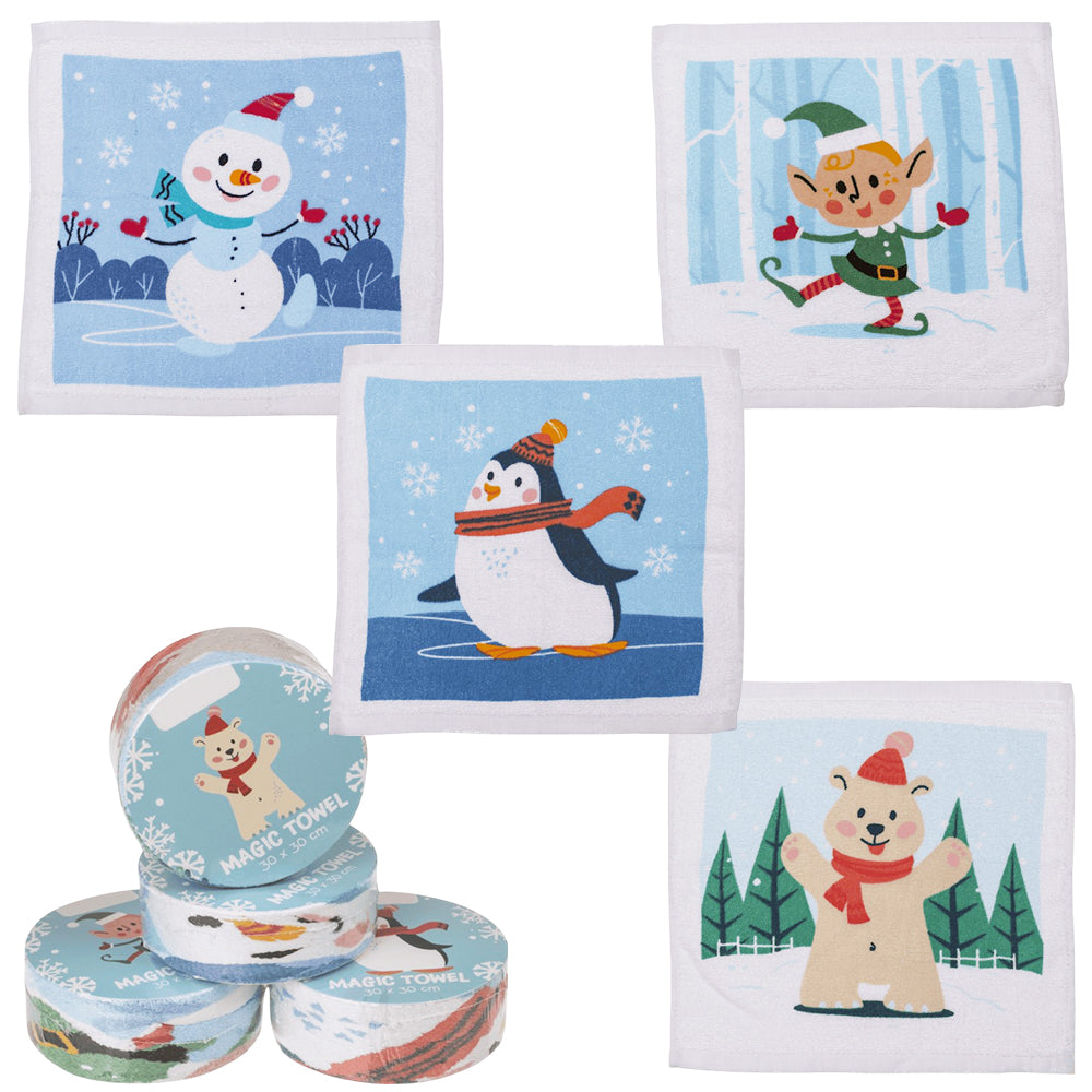 Christmas Characters | Magic Expanding Flannel | Mini Gift | Cracker Filler