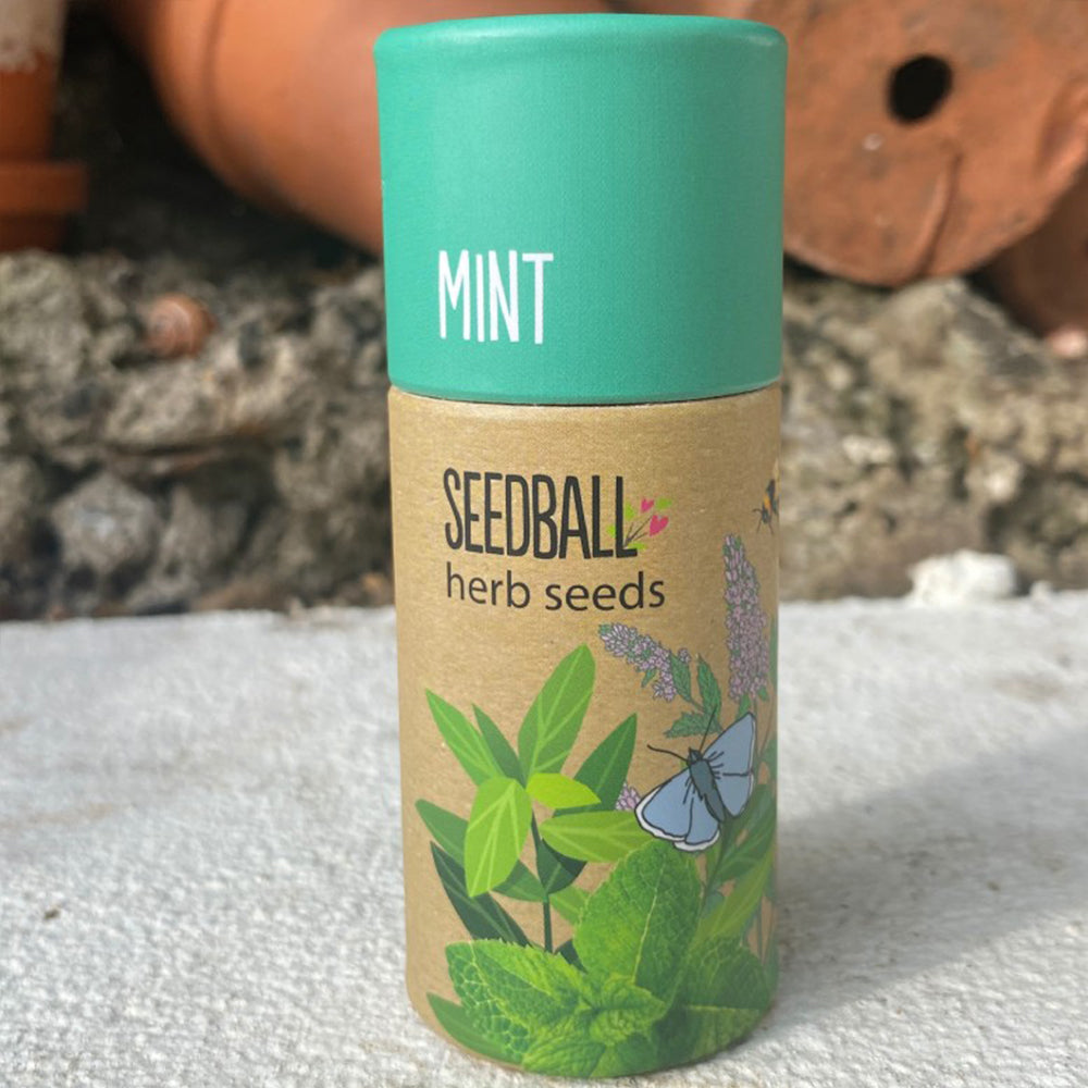 Mint | Luxury Tube of 20 Seedballs | Cracker Filler | Little Gift