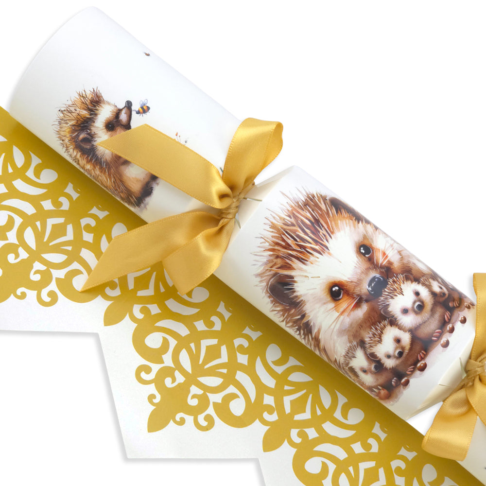 Hedgehog Family | Cracker Making Craft Kit | Make & Fill Your Own