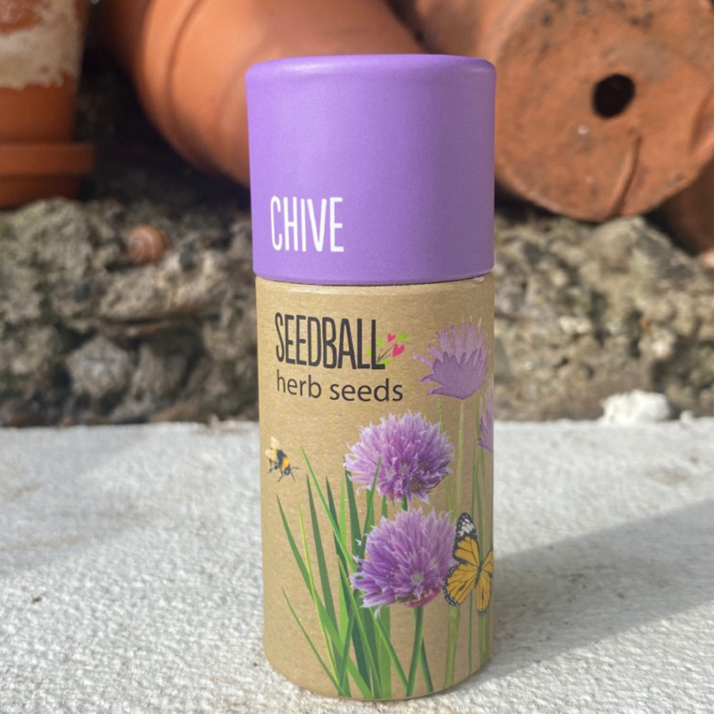 Chives | Luxury Tube of 20 Seedballs | Cracker Filler | Little Gift