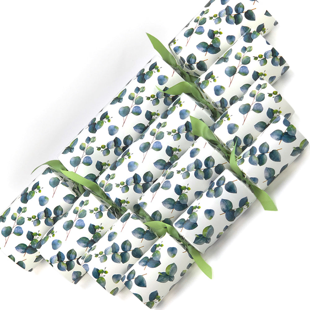 Extra Large & Jumbo | Reusable Keepsake Cracker Sets | Watercolour Eucalyptus