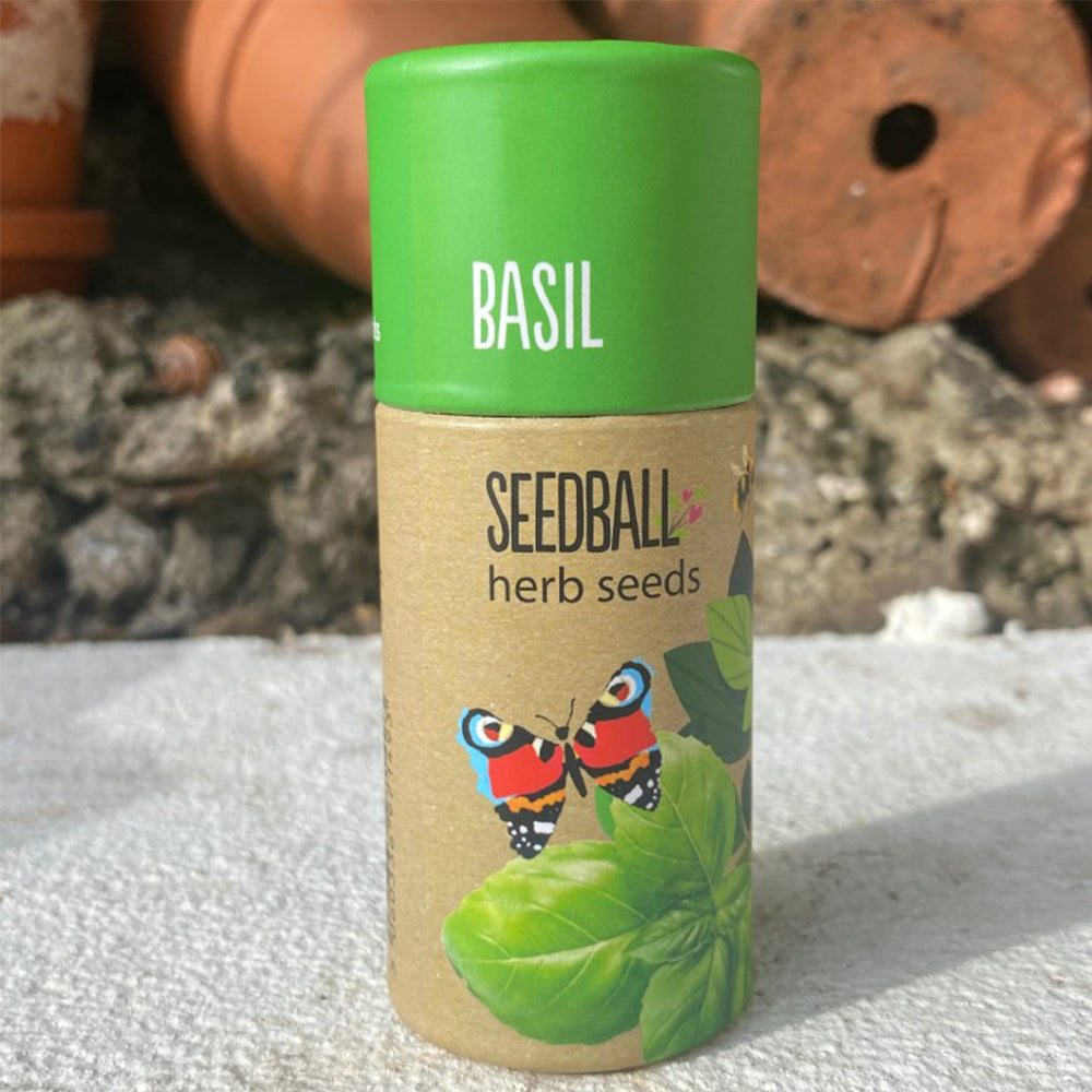 Basil | Luxury Tube of 20 Seedballs | Cracker Filler | Little Gift
