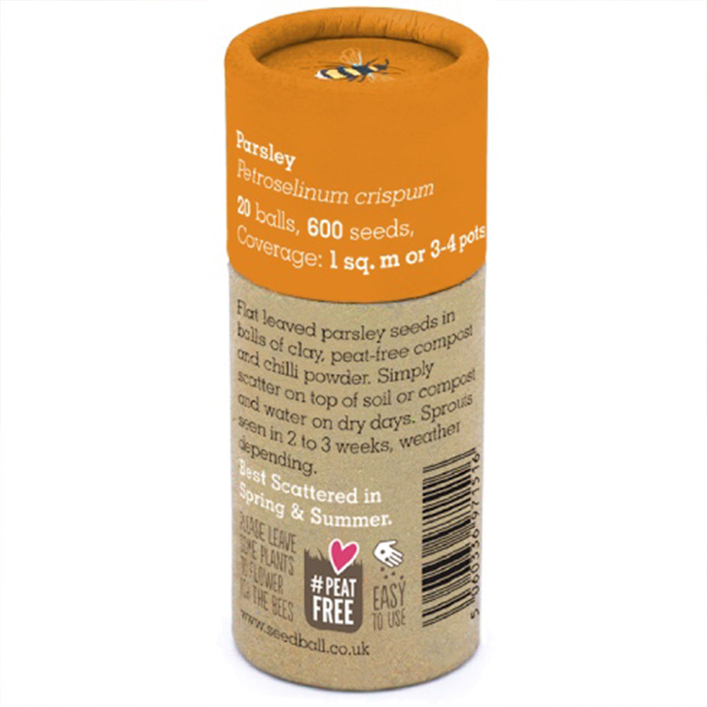 Parsley | Luxury Tube of 20 Seedballs | Cracker Filler | Little Gift