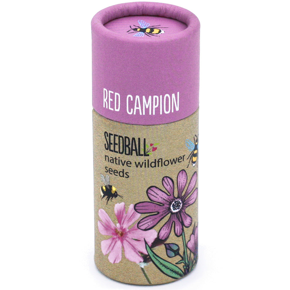 Red Campion | Luxury Tube of 20 Seedballs | Cracker Filler | Little Gift