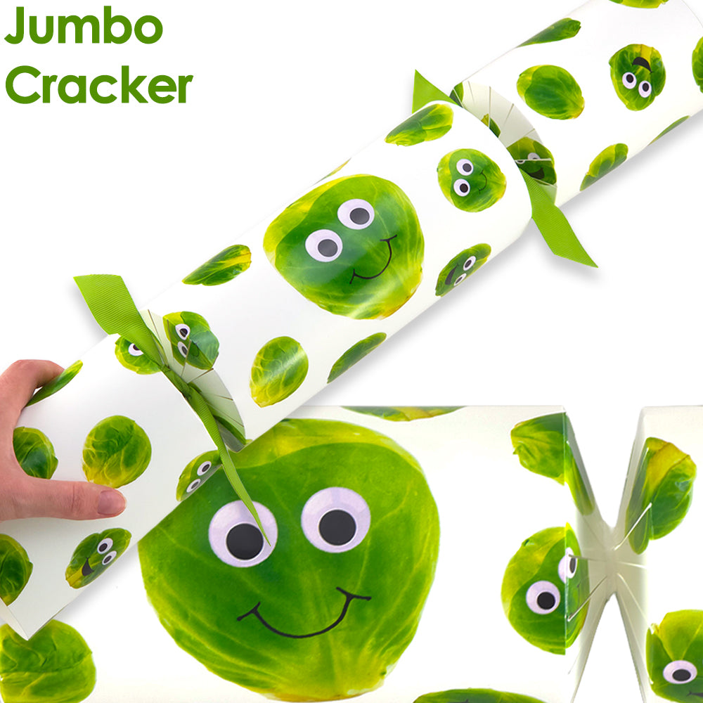 Extra Large & Jumbo | Reusable Keepsake DIY Cracker Sets | Googly Sprouts