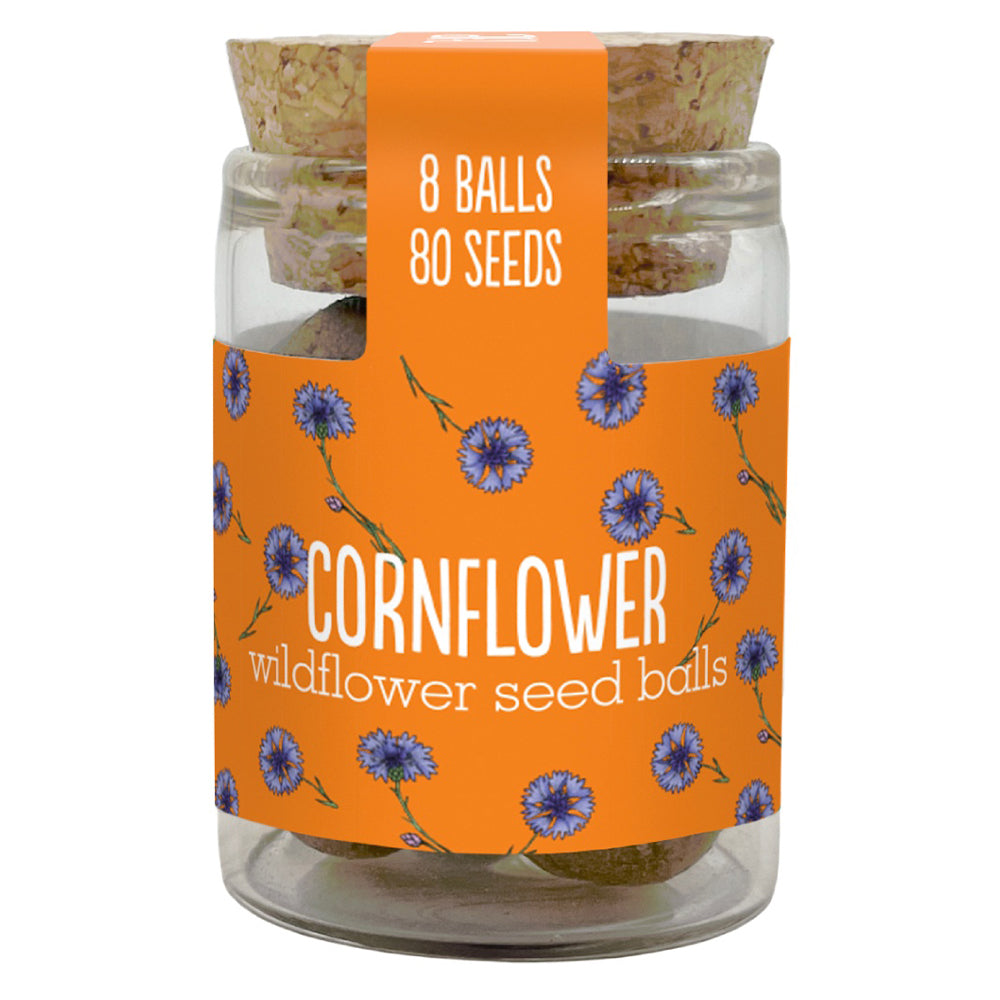 Gorgeous Wildflower Seed Ball Jar | 8 Balls | Cracker Filler | Little Gift