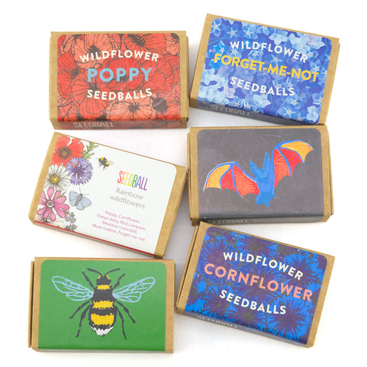 Seedballs in Matchboxes | Bundle of 6 Cracker Fillers | Cracker Making Gifts