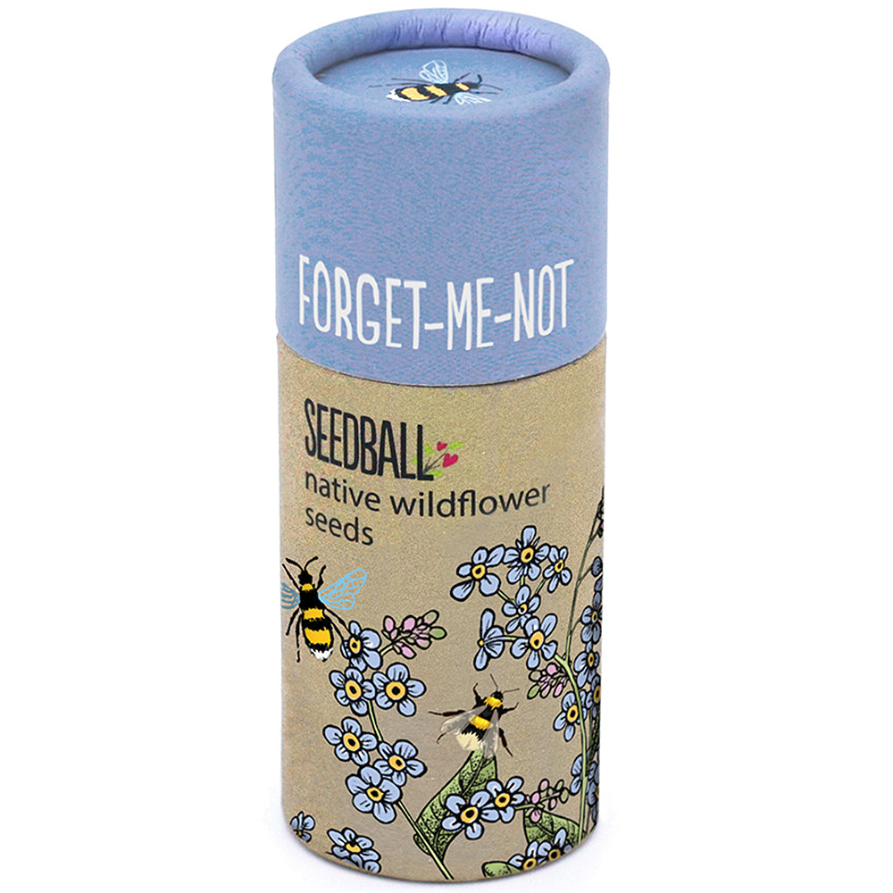 Forget Me Nots | Luxury Tube of 20 Seedballs | Cracker Filler | Little Gift