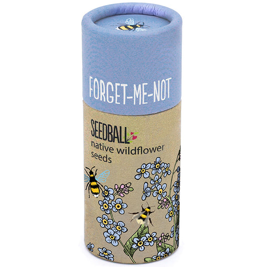 Forget Me Nots | Luxury Tube of 20 Seedballs | Cracker Filler | Little Gift