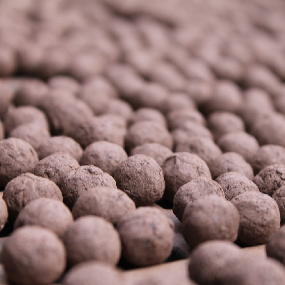 Happy Christmas | Matchbox of 6 Seedballs | Cracker Filler | Mini Gift