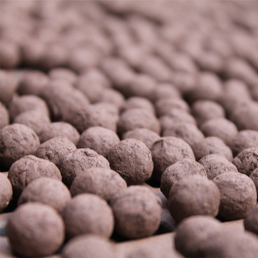 Forget Me Nots | Luxury Tube of 20 Seedballs | Cracker Filler | Little Gift