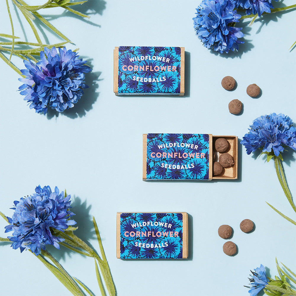 Cornflowers | Matchbox of 6 Seedballs | Cracker Filler | Mini Gift