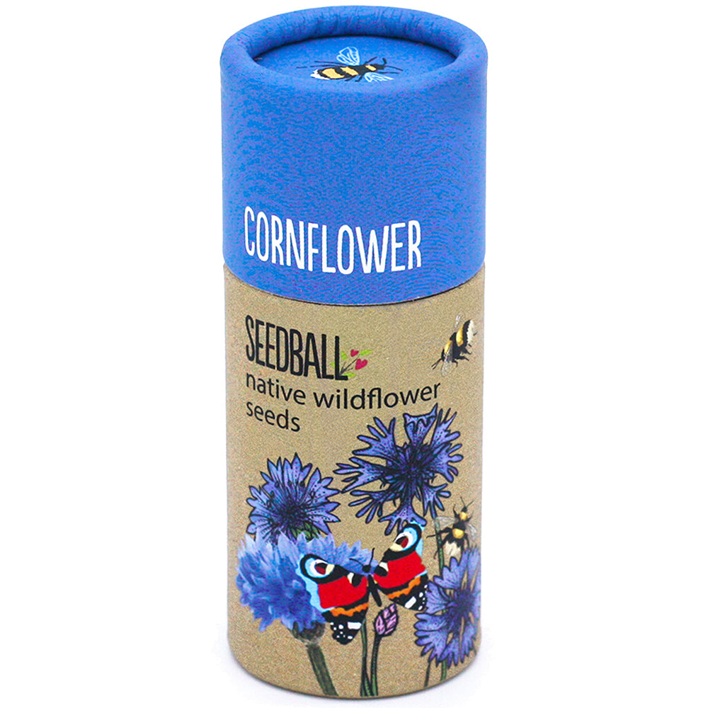 Cornflowers | Luxury Tube of Seedballs | Cracker Filler | Little Gift