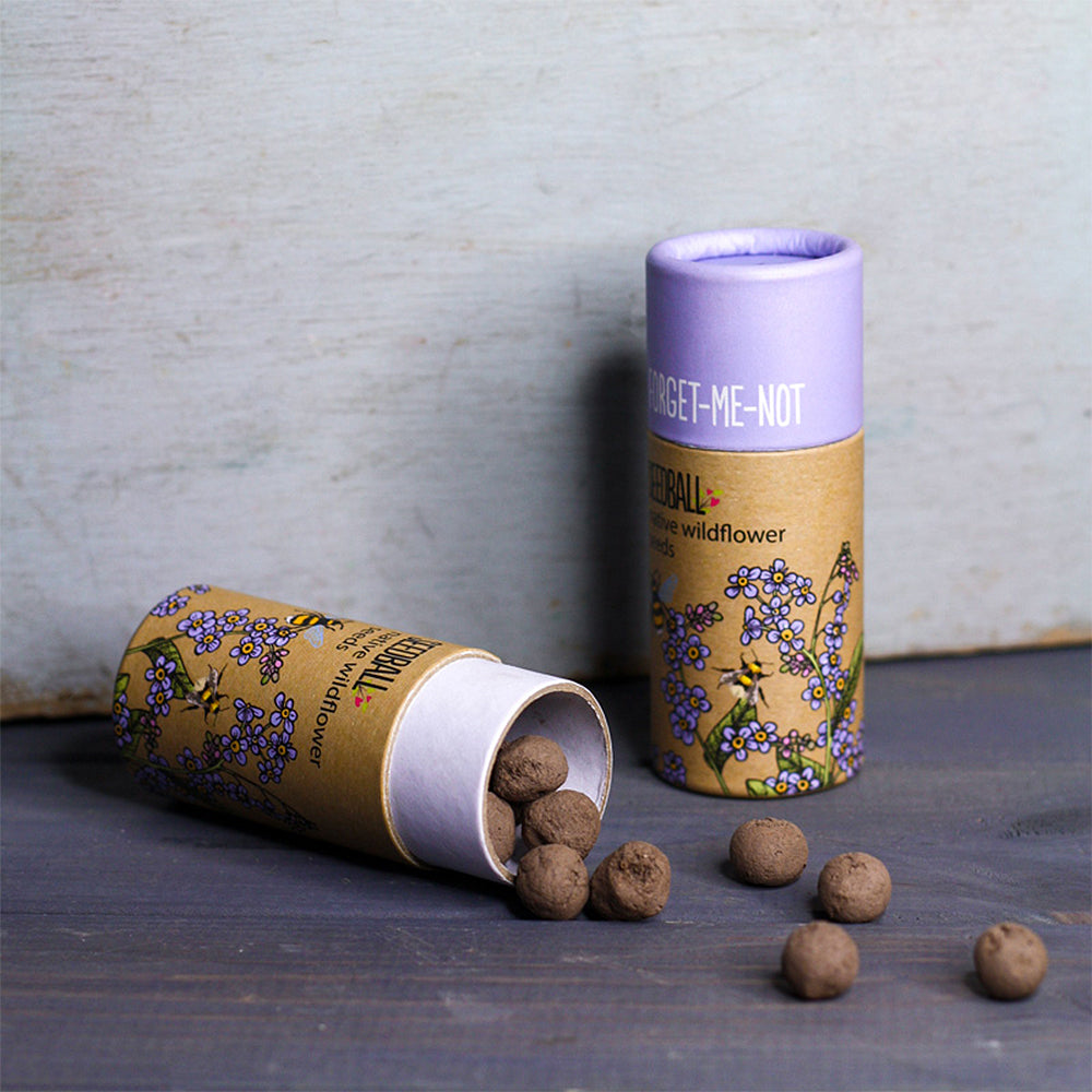 Forget Me Nots | Luxury Tube of 20 Seedballs | Cracker Filler | Little Gift