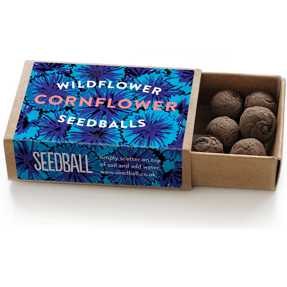 Cornflowers | Matchbox of 6 Seedballs | Cracker Filler | Mini Gift