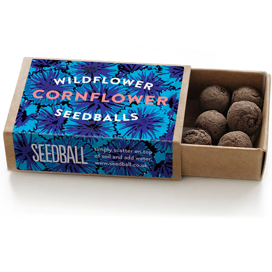 Cornflowers | Matchbox of 6 Seedballs | Cracker Filler | Mini Gift