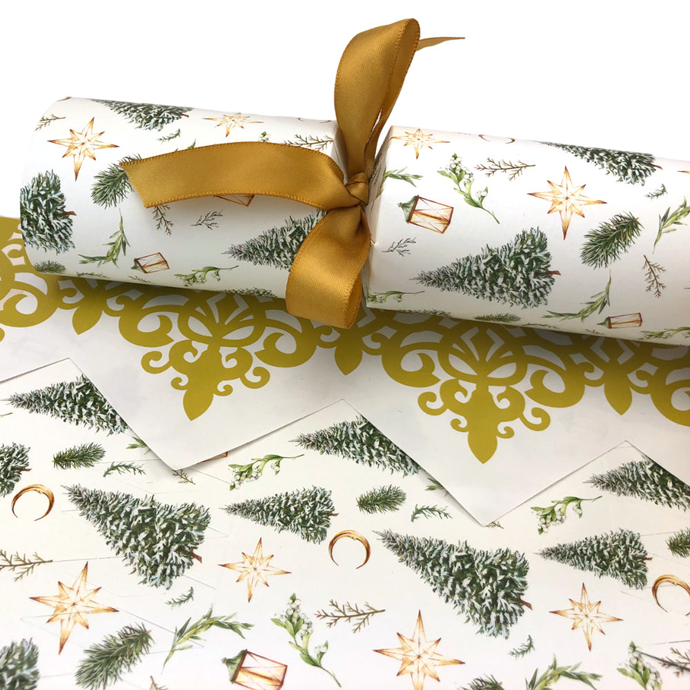 Classic Watercolour Christmas | Cracker Making Craft Kit | Make & Fill Your Own