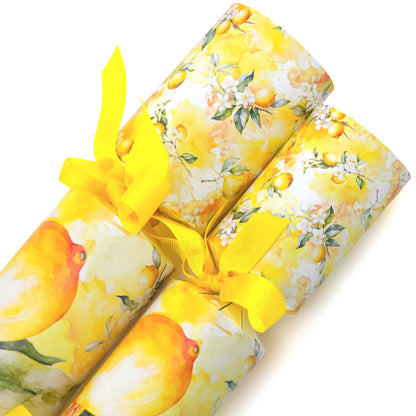 Lemon Blossom | Cracker Making Craft Kit | Make & Fill Your Own