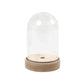 Plastic Bell Jar Cloche on Wooden Stand & LED Lights for Crafts - Choice of Sizes