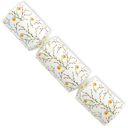6 Small Willow & Robin Christmas Favour Cracker Making Kit | Make and Fill Your Own