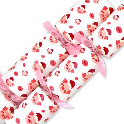 Christmas Piggy | Cracker Making Craft Kit | Make & Fill Your Own