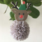 Rudolph Reindeer Pom Pom Hanging Christmas Ornament Craft Kit