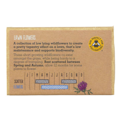 Hero Lawn | 20 Native Wildflower Seedballs | Mini Gift | Cracker Filler