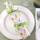 Modern Gardening | Cracker Making Craft Kit | Make & Fill Your Own