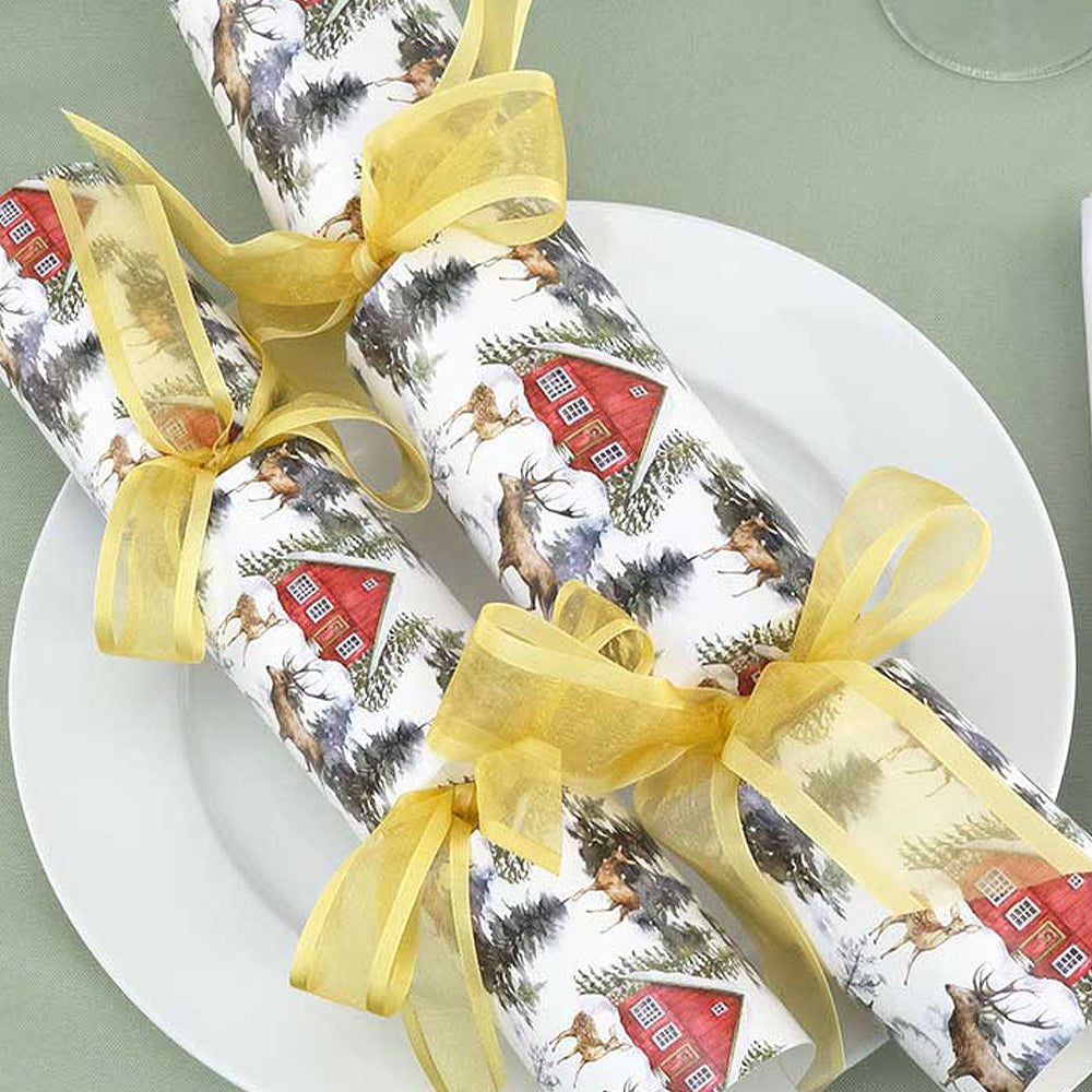 Christmas Cracker Making Craft Kits | Makes 6 Crackers | Big Choice of Designs