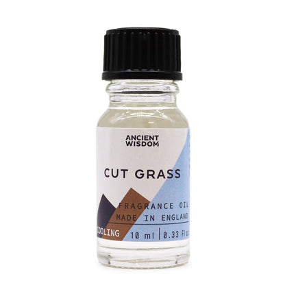 Huge Choice of Fragranced Oil for Burners | 10ml | Little Gift | Cracker Filler