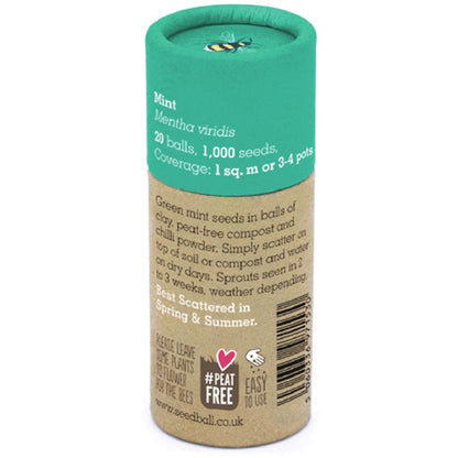 Mint | Luxury Tube of 20 Seedballs | Cracker Filler | Little Gift