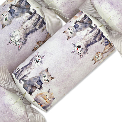 Funny Cats | Cracker Making Craft Kit | Make & Fill Your Own
