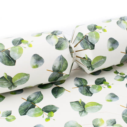 Watercolour Eucalyptus | SNAPLESS Christmas Cracker Making Craft Kit | Makes 6