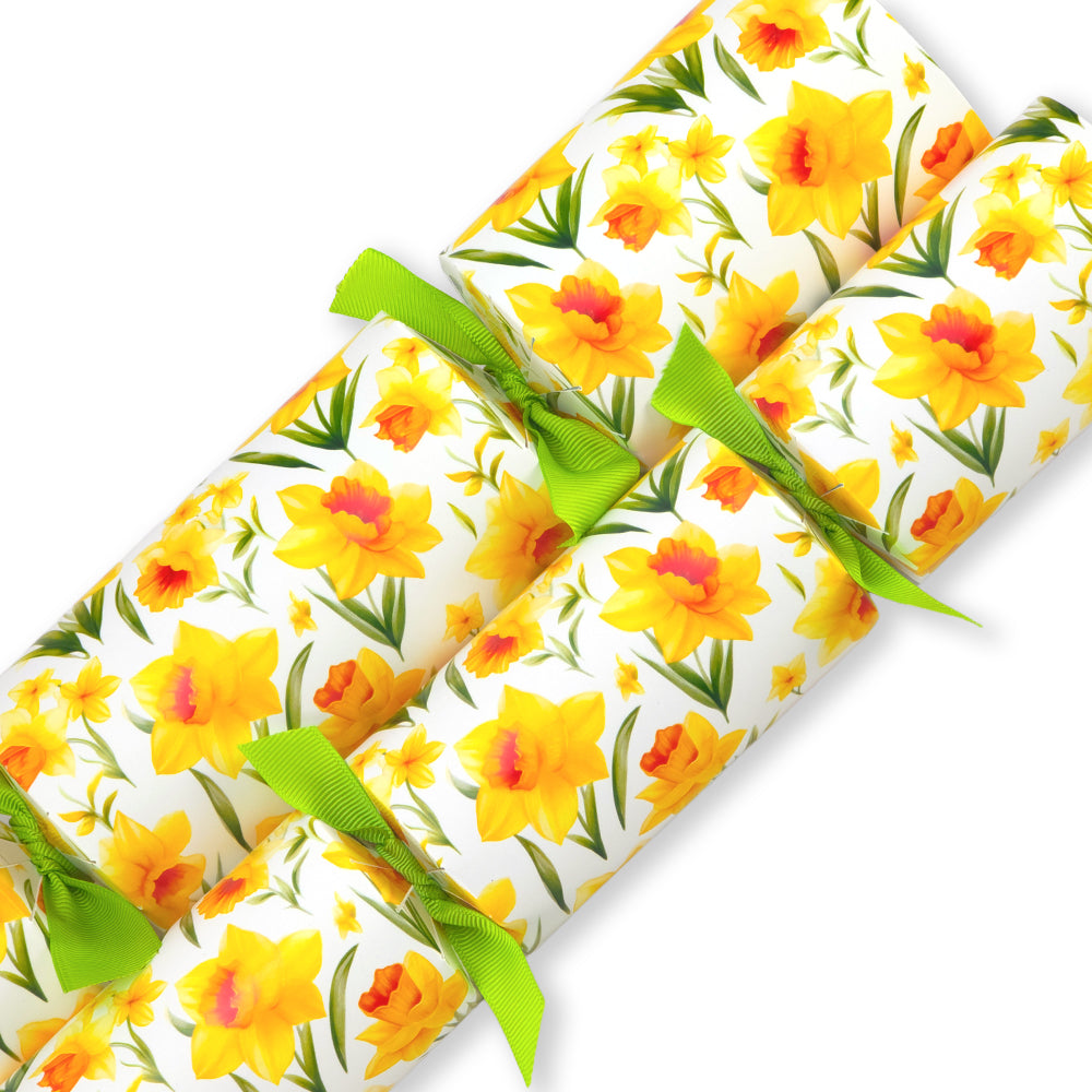 Easter Cracker Making Kits | Makes 6 | Big Choice of Designs for All the Family