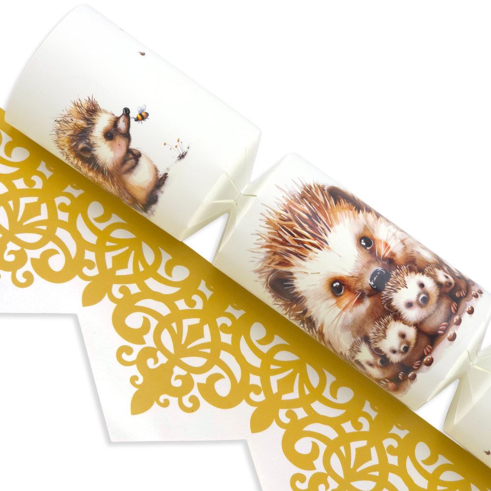 Hedgehog Family | Cracker Making Craft Kit | Make & Fill Your Own