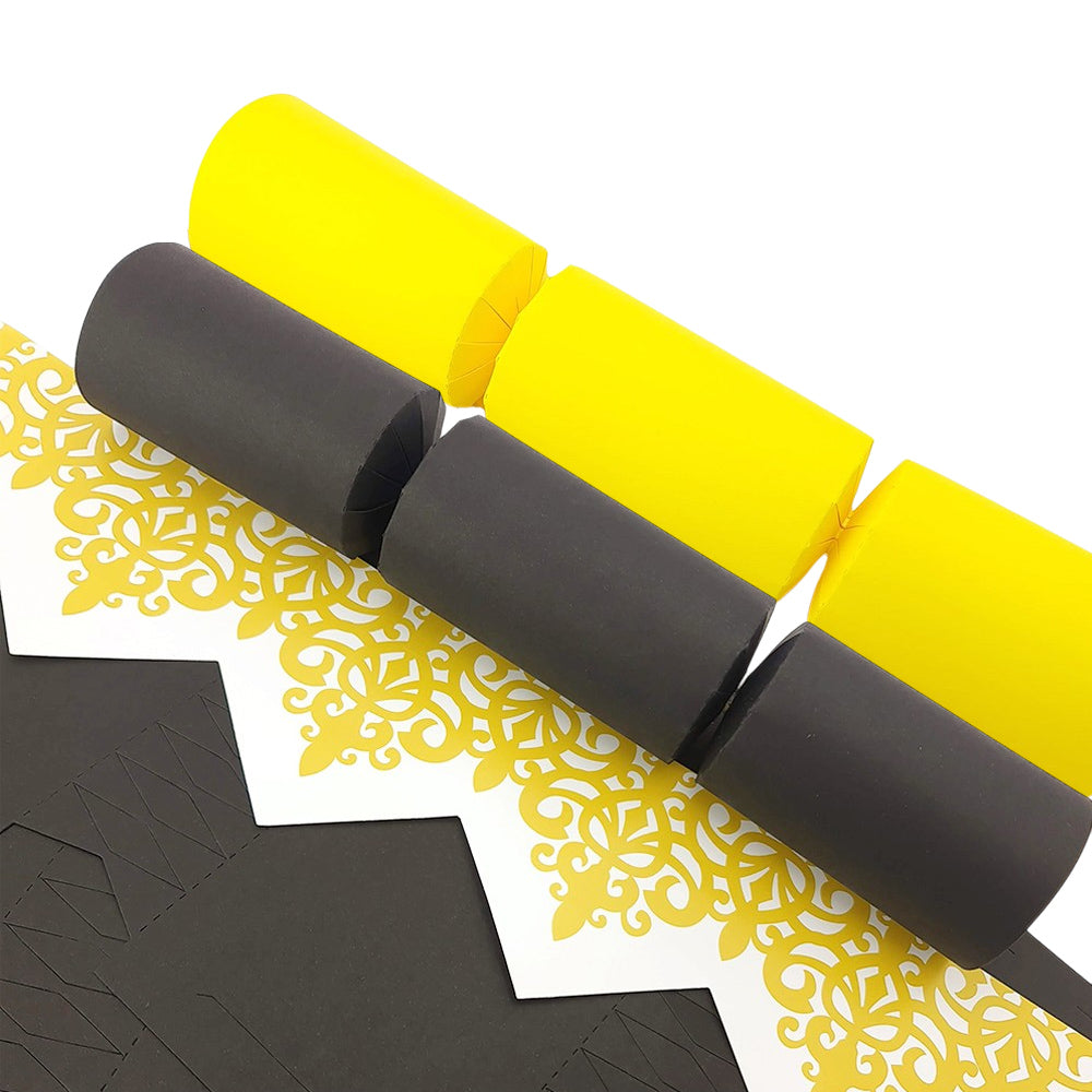 Buzzing Bee Shades | Craft Kit to Make 8 Recyclable Crackers | Cracker Making