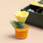 Thankyou for Helping Me Grow | Mini Matchbox Token | Little Gift | Cracker Filler