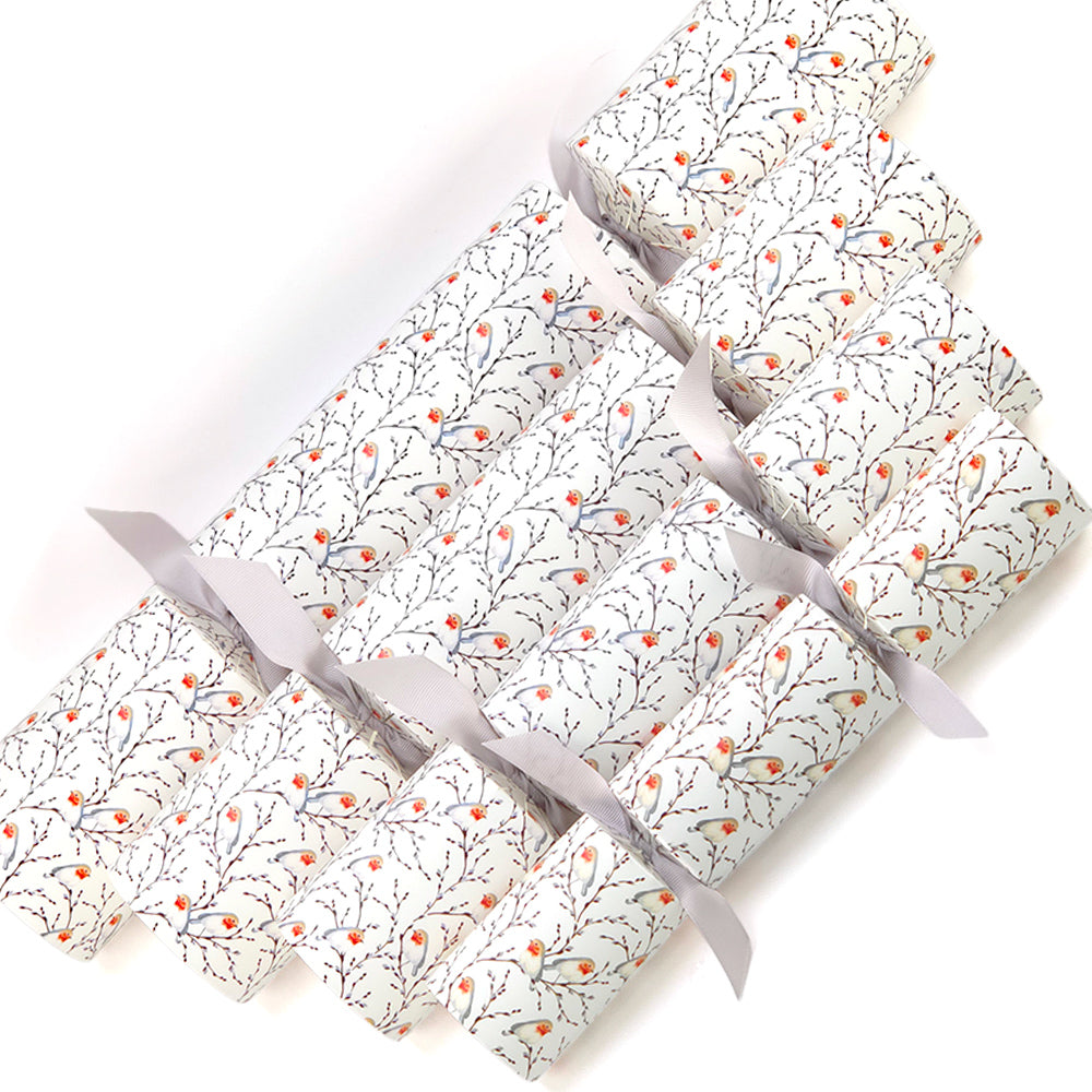 Extra Large & Jumbo | Reusable Keepsake DIY Cracker Sets | Willow & Robin