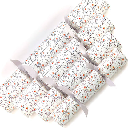 Extra Large & Jumbo | Reusable Keepsake DIY Cracker Sets | Willow & Robin