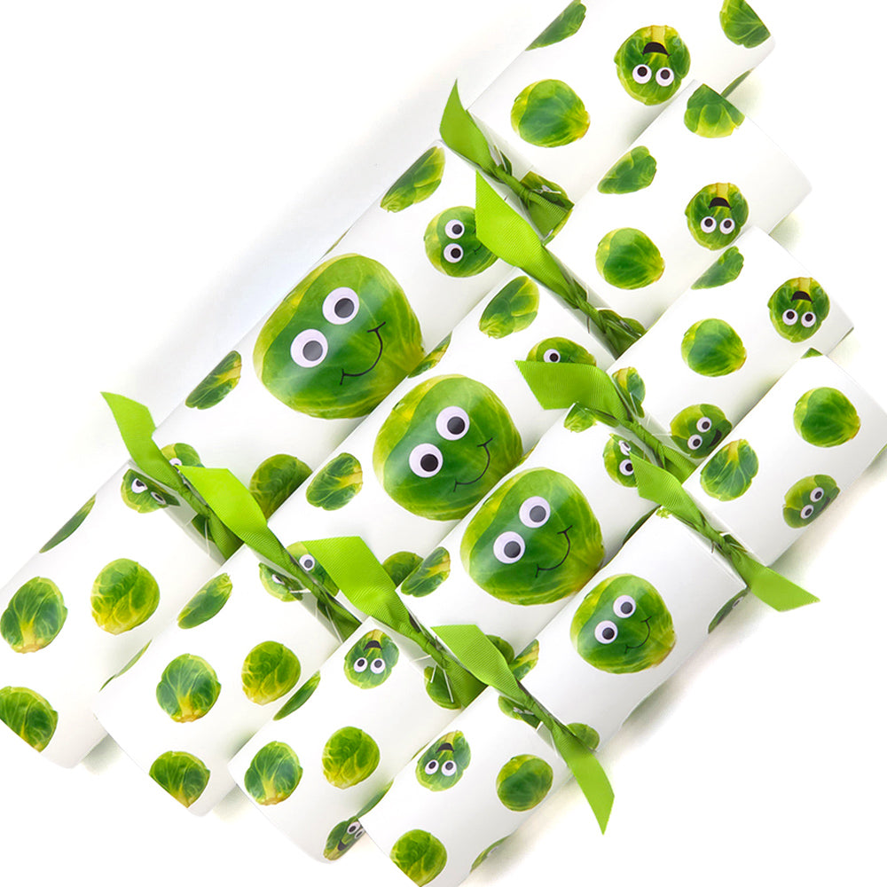 Extra Large & Jumbo | Reusable Keepsake DIY Cracker Sets | Googly Sprouts