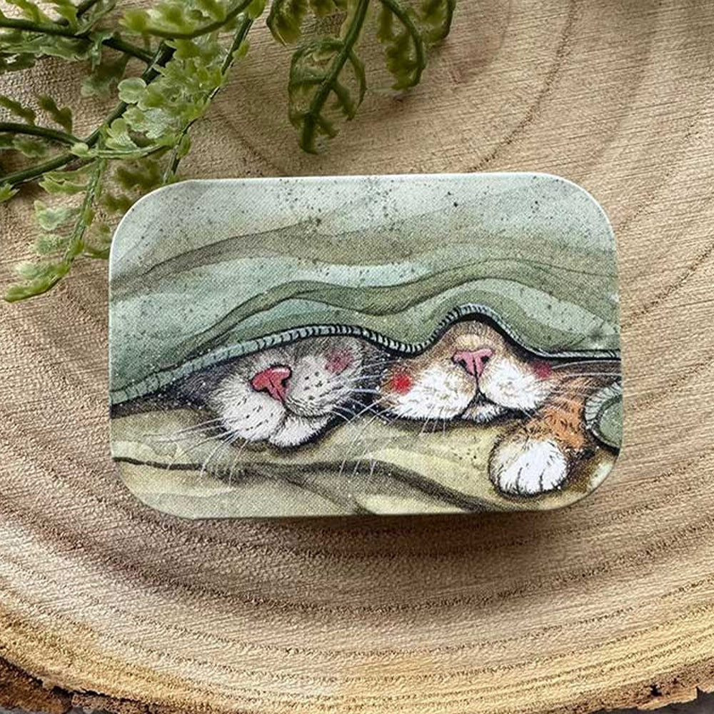 Cute Cat's Whiskers | Little Slide Shut Tin to Fill | Cracker Filler Gift