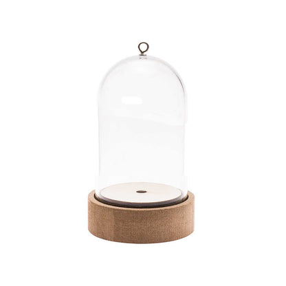 Plastic Bell Jar | Dome on MDF Base | 11cm to 27cm Tall | Arts, Crafts & Display