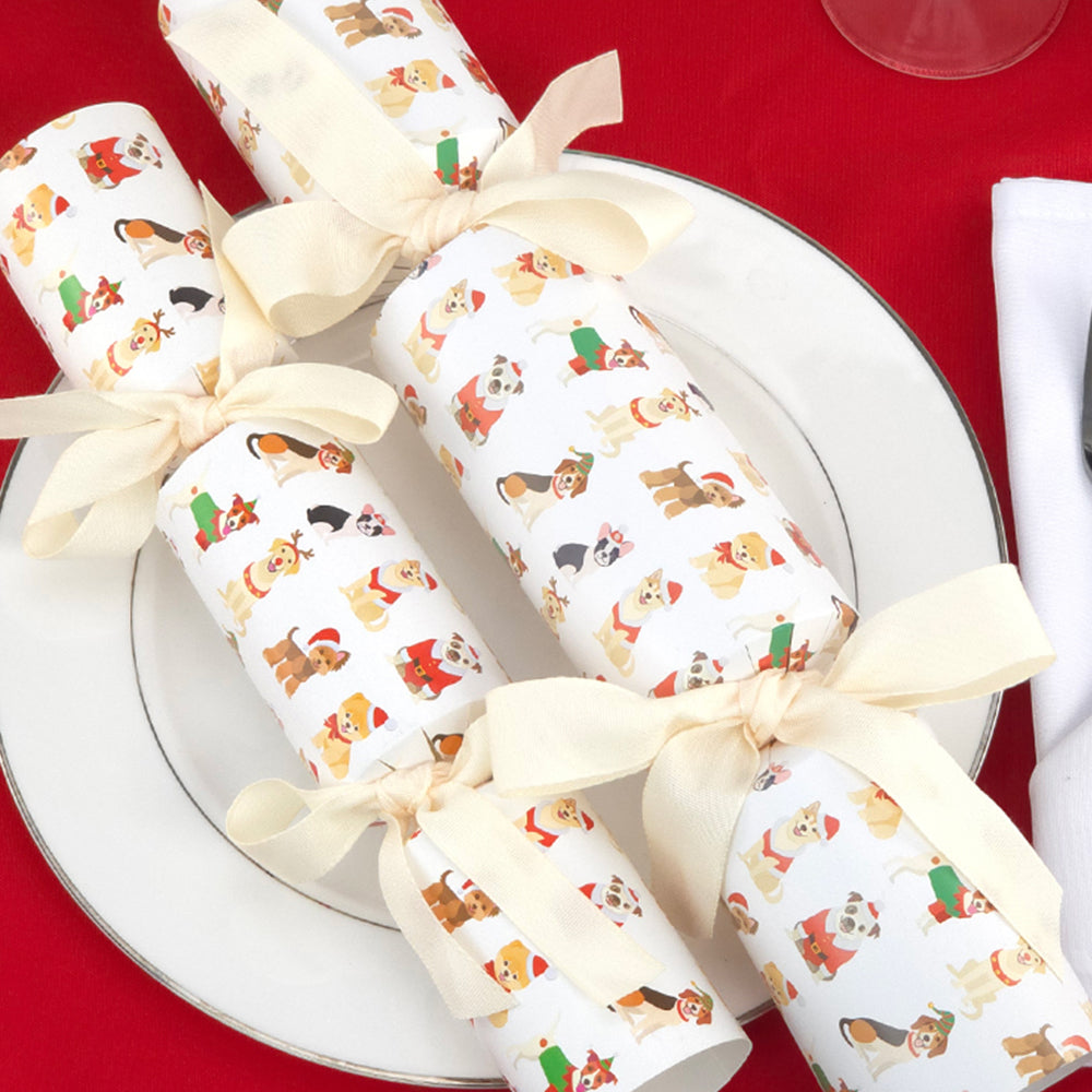 Christmas Cracker Making Craft Kits | Makes 6 Crackers | Big Choice of Designs