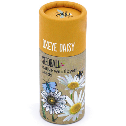 Oxeye Daisy | Luxury Tube of 20 Seedballs | Cracker Filler | Little Gift