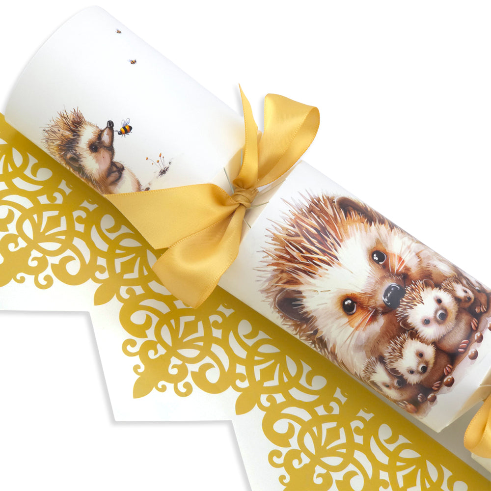Hedgehog Family | Cracker Making Craft Kit | Make & Fill Your Own