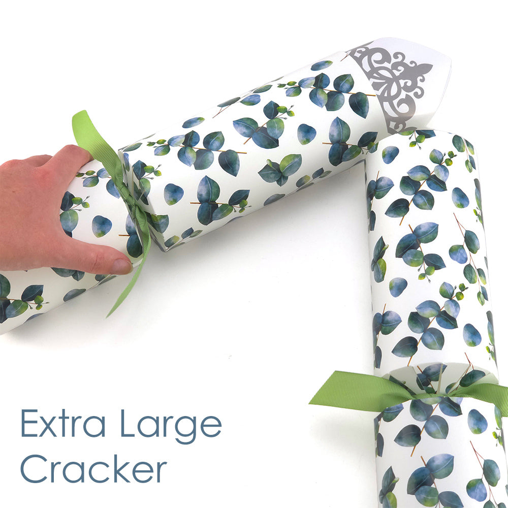 Extra Large & Jumbo | Reusable Keepsake Cracker Sets | Watercolour Eucalyptus