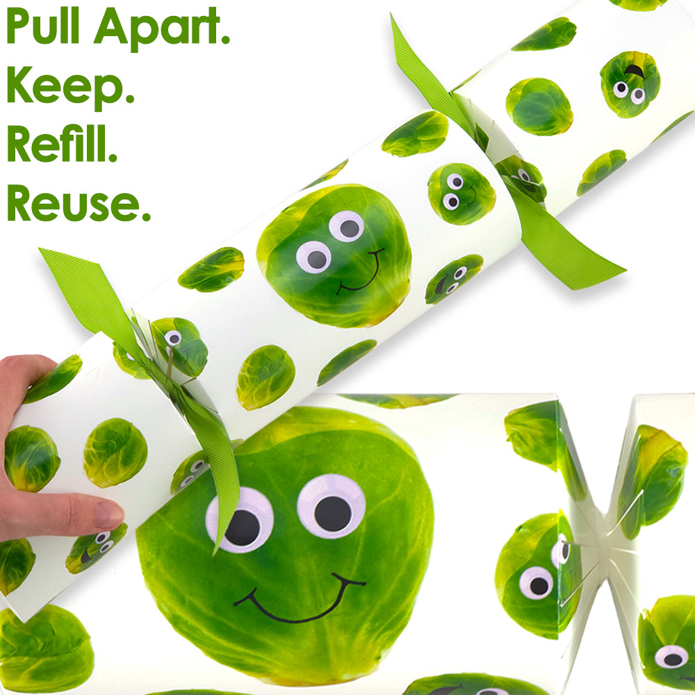 Extra Large & Jumbo | Reusable Keepsake DIY Cracker Sets | Googly Sprouts
